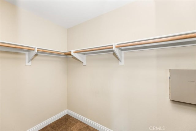 walk in closet with carpet