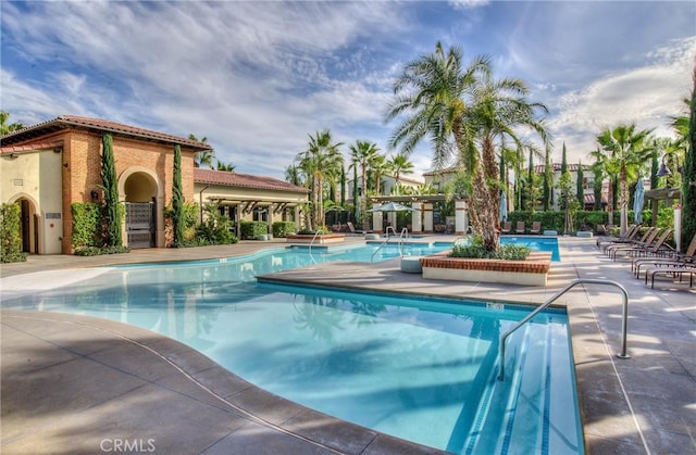 view of pool with a patio area