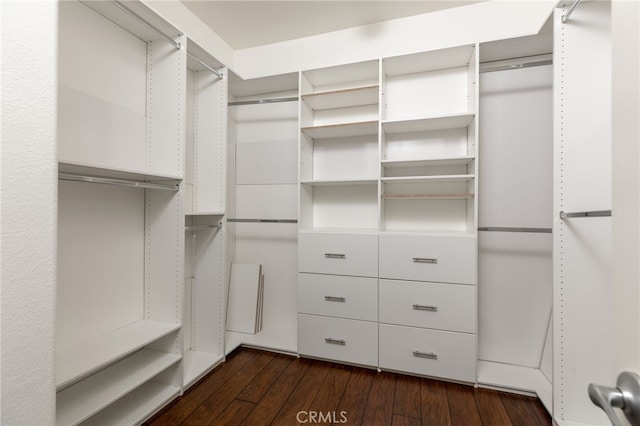 spacious closet featuring dark wood-type flooring