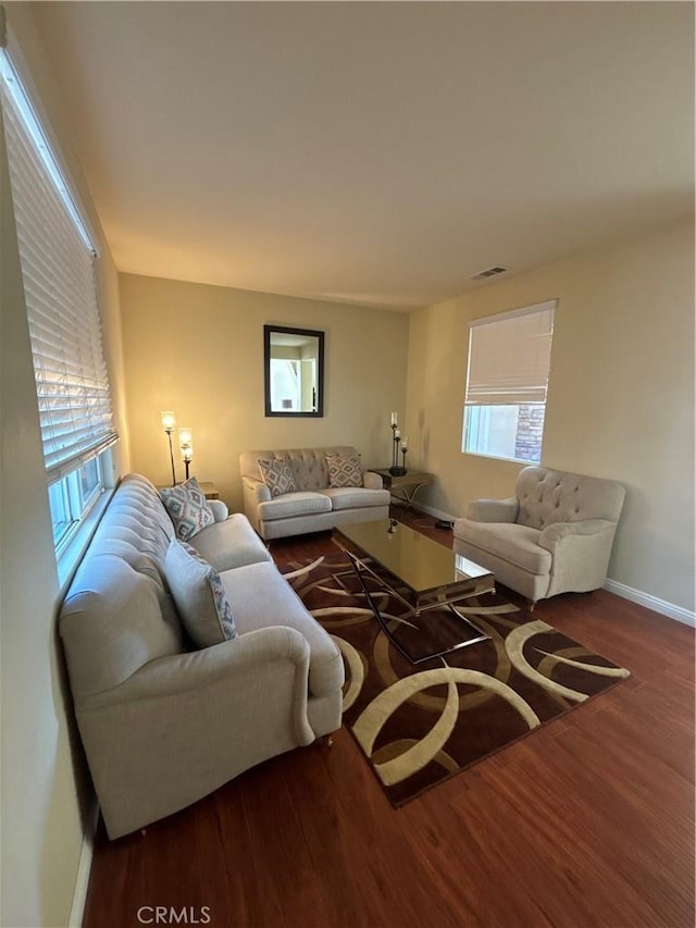 living room featuring wood-type flooring