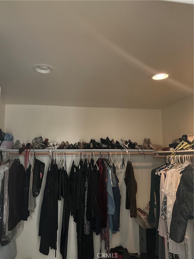 view of walk in closet