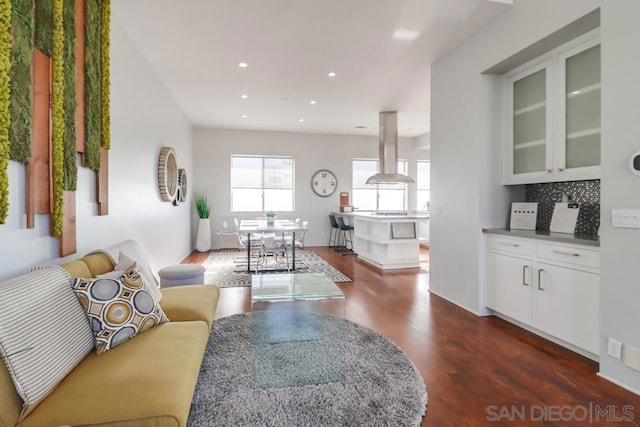 living room featuring dark wood-type flooring