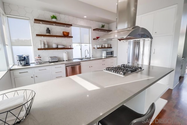 kitchen featuring decorative backsplash, island range hood, stainless steel appliances, sink, and white cabinets