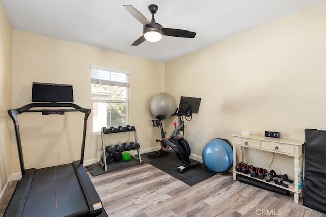 exercise room featuring ceiling fan and light hardwood / wood-style floors