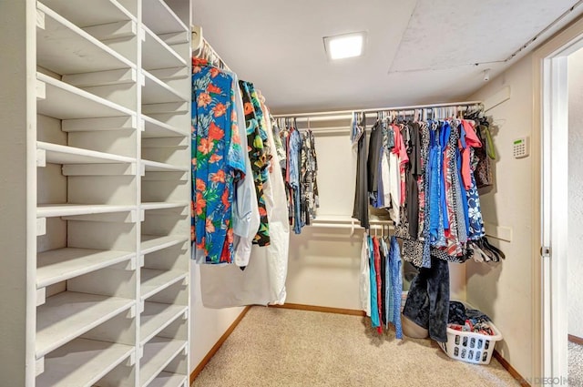 spacious closet featuring carpet floors