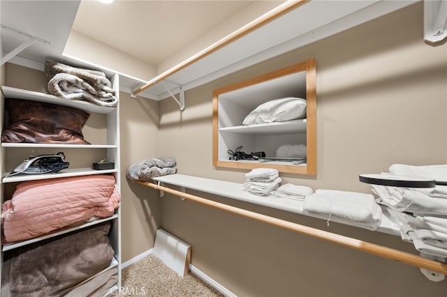 spacious closet with carpet