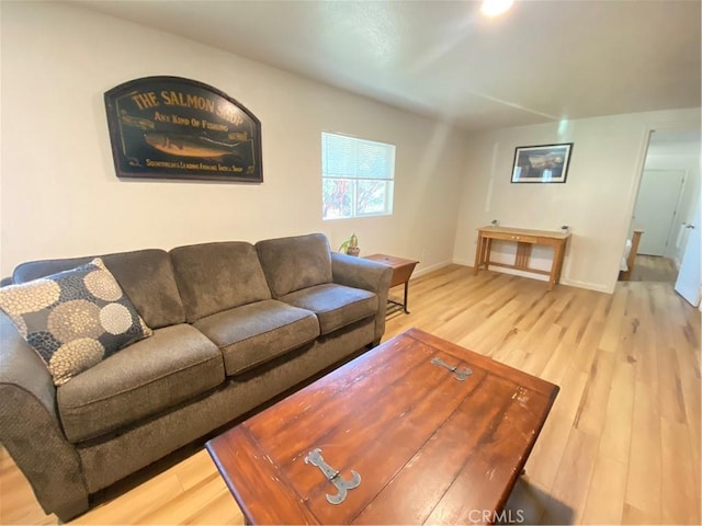 living room with hardwood / wood-style floors