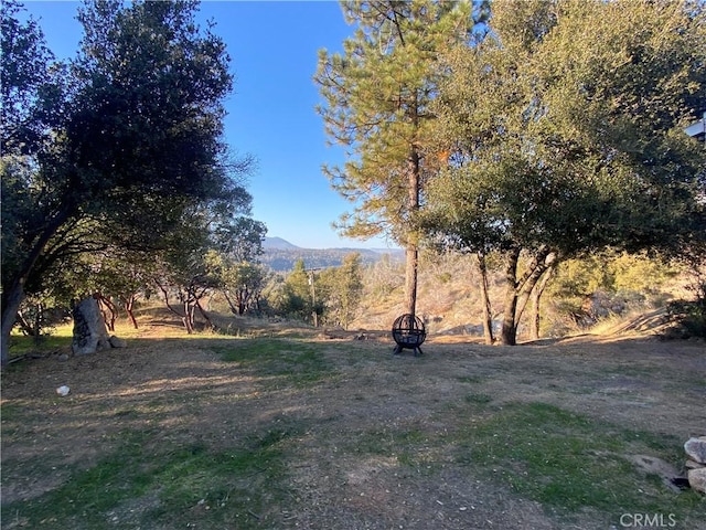 view of yard featuring a mountain view