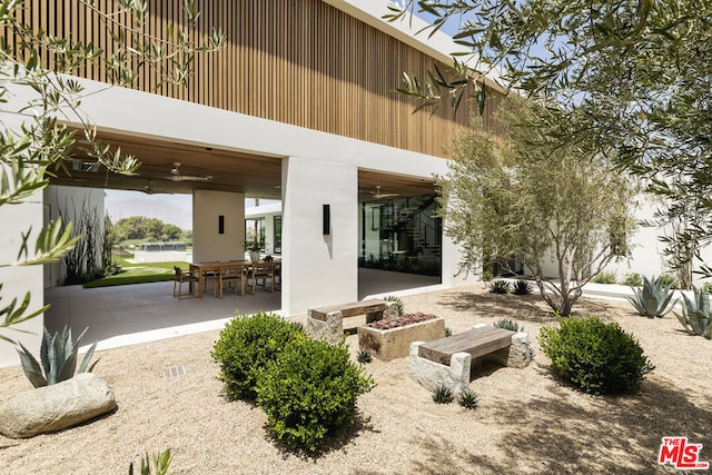 rear view of house featuring a patio area and ceiling fan