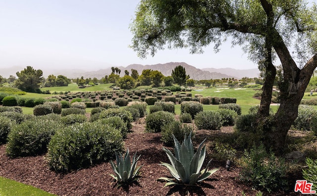 property view of mountains