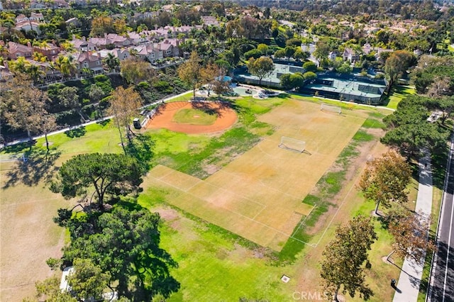 bird's eye view