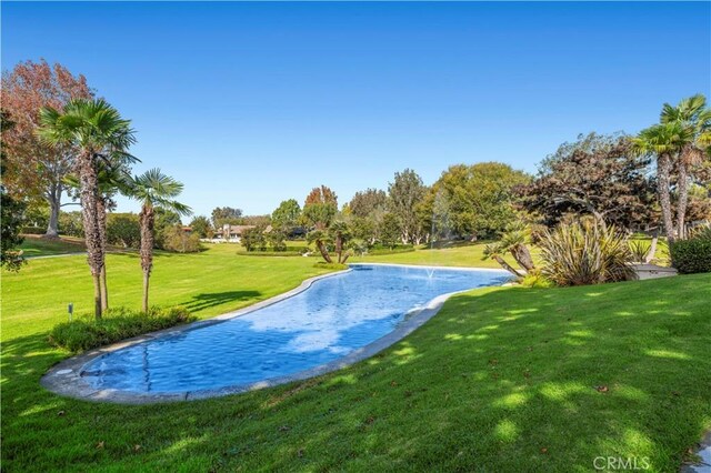 view of swimming pool featuring a lawn