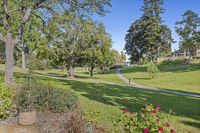 view of property's community with a yard