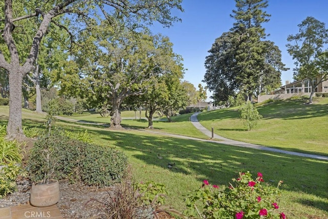 view of property's community featuring a yard