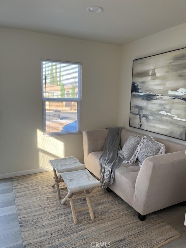 living room featuring hardwood / wood-style floors