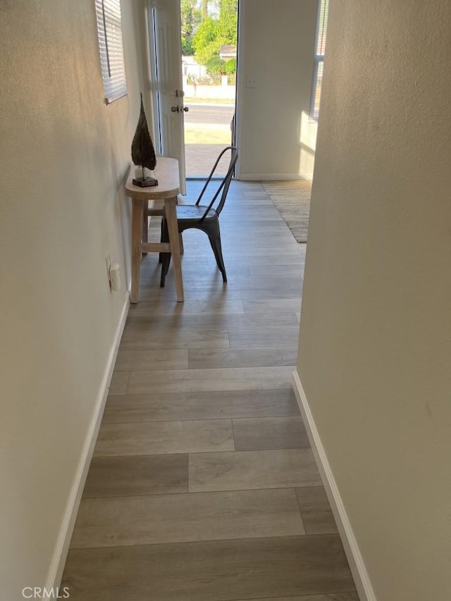 hallway featuring wood-type flooring