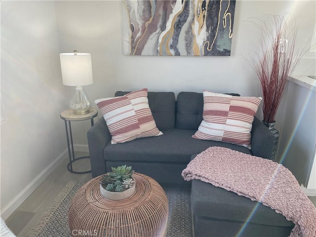 living room with wood-type flooring