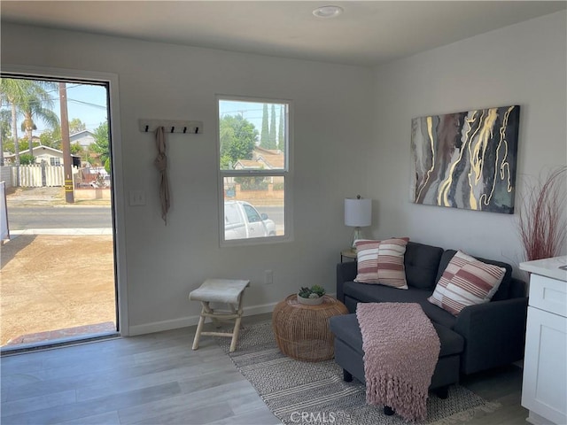 living area featuring a wealth of natural light and light hardwood / wood-style flooring