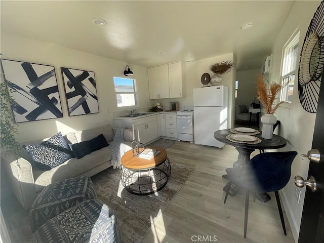 living room featuring sink and light wood-type flooring