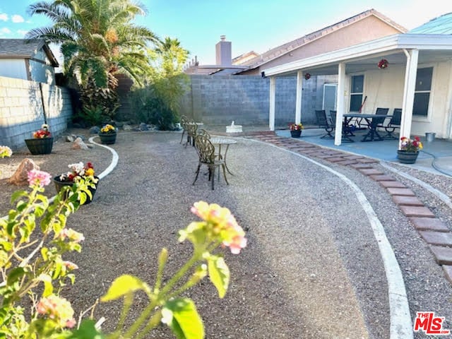 view of yard featuring a patio area