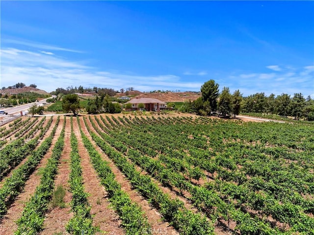 view of yard featuring a rural view