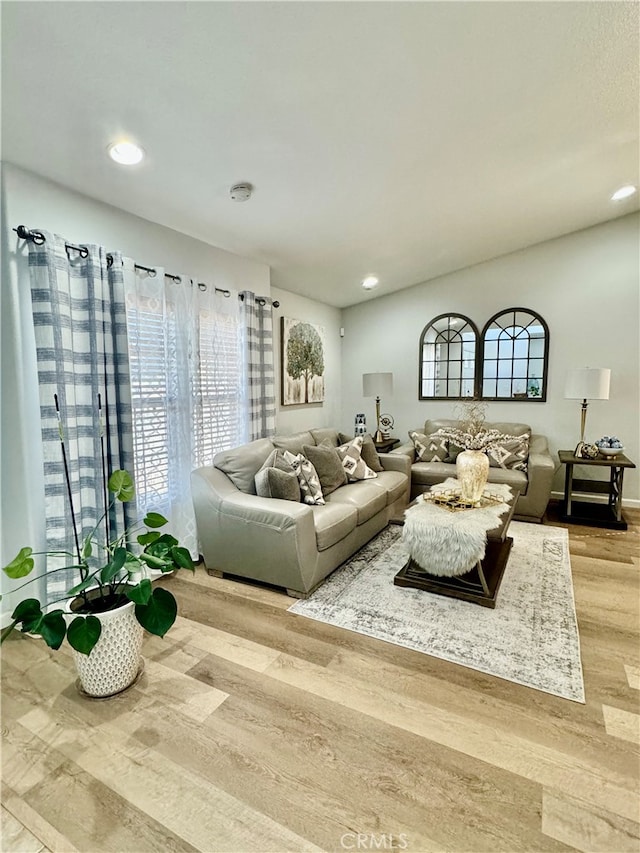 living room featuring hardwood / wood-style flooring