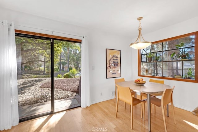 dining room with light wood-type flooring