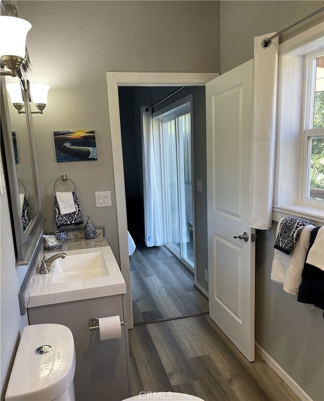 bathroom featuring hardwood / wood-style floors and vanity