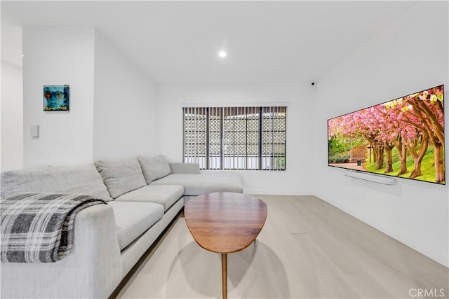 living room featuring hardwood / wood-style flooring