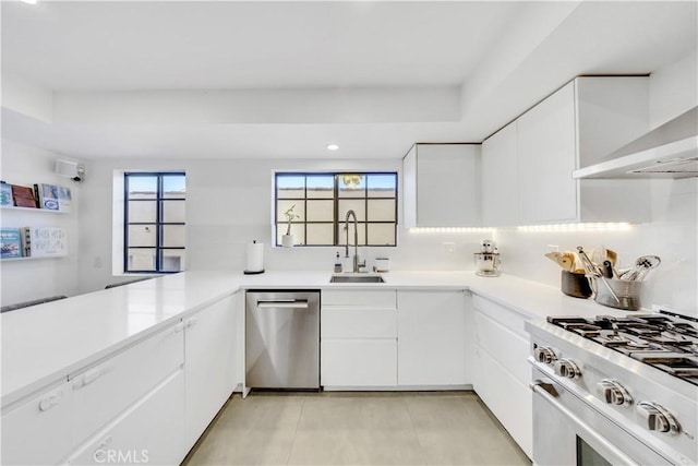 kitchen featuring white cabinets, sink, wall chimney exhaust hood, tasteful backsplash, and stainless steel appliances