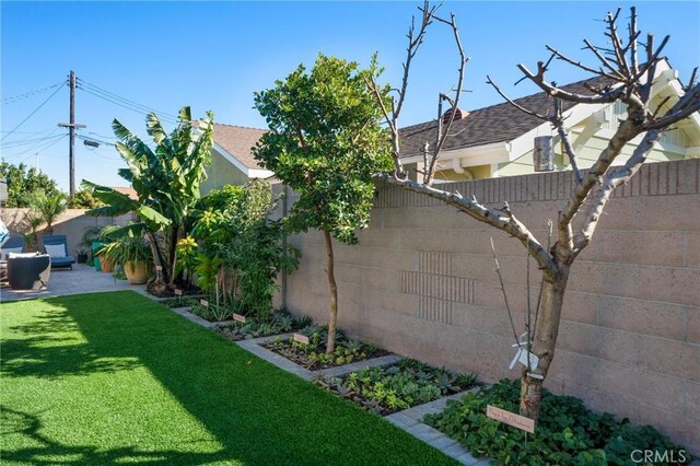 view of yard with a patio area