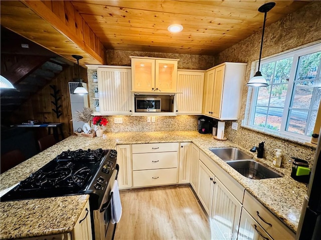 kitchen with appliances with stainless steel finishes, decorative light fixtures, light hardwood / wood-style flooring, and sink