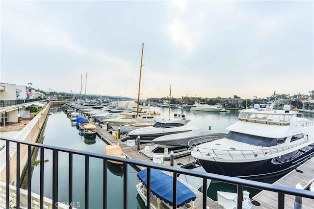 dock area with a water view