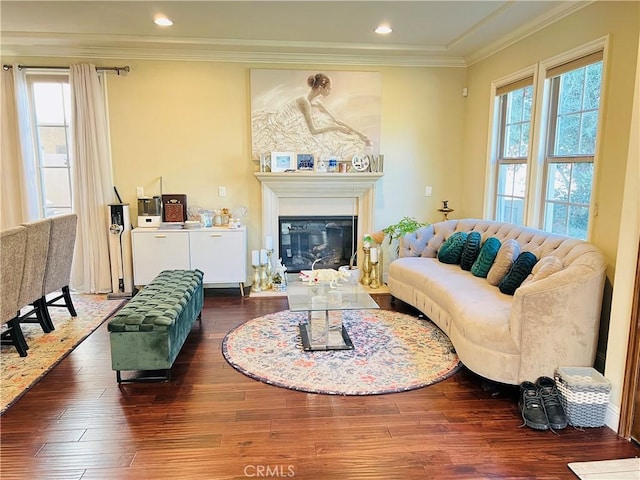 living room with ornamental molding, a wealth of natural light, and dark wood-type flooring