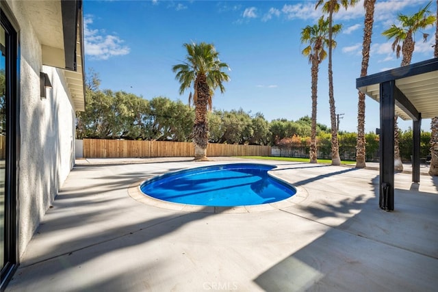 view of pool with a patio area