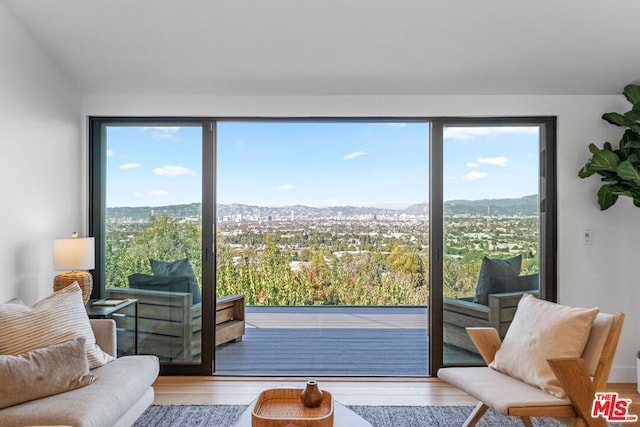 entryway featuring a mountain view, wood-type flooring, and a wealth of natural light