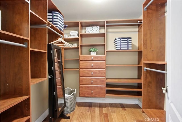 walk in closet with light wood-type flooring