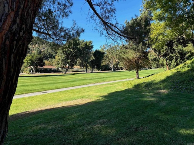 view of property's community featuring a lawn