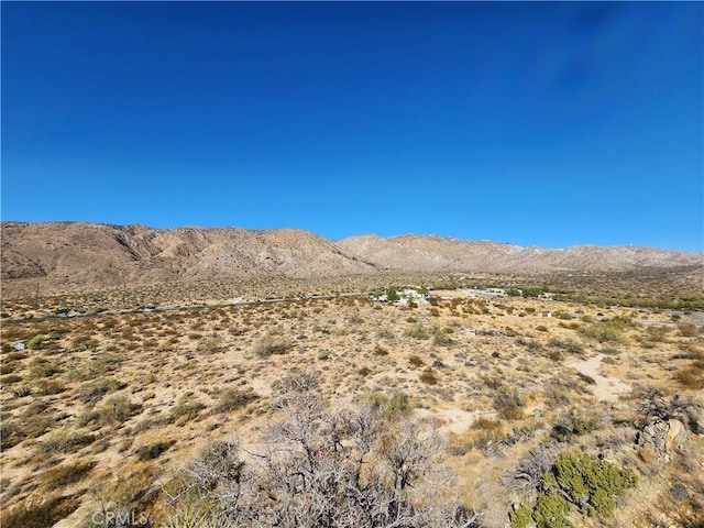 Listing photo 3 for 29 Palms Hwy, Morongo Valley CA 92256