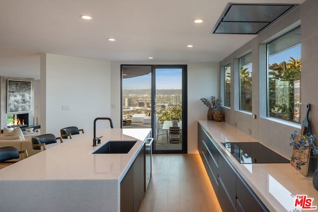 kitchen with hardwood / wood-style floors, sink, a kitchen island with sink, and a wealth of natural light