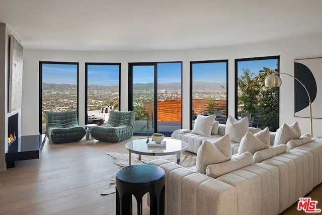 living room featuring a wealth of natural light, light hardwood / wood-style flooring, and a mountain view