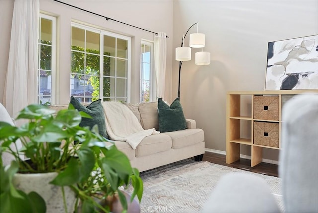 living area featuring wood-type flooring