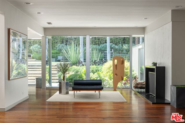 doorway with dark hardwood / wood-style floors