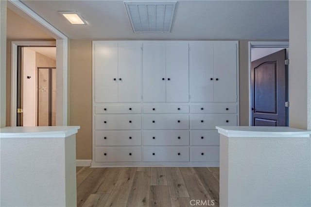 walk in closet featuring light wood-type flooring