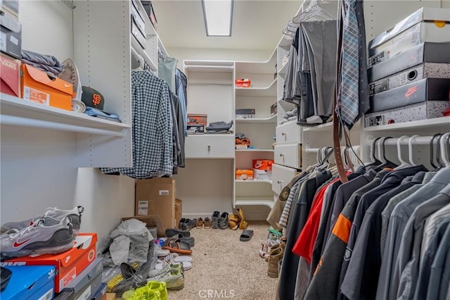 spacious closet featuring carpet floors