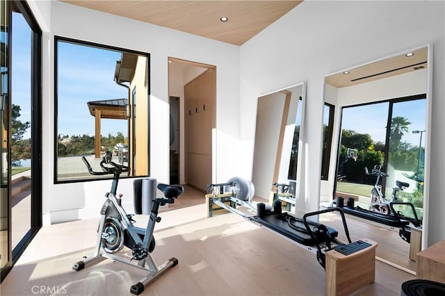 workout room featuring a towering ceiling and light hardwood / wood-style floors