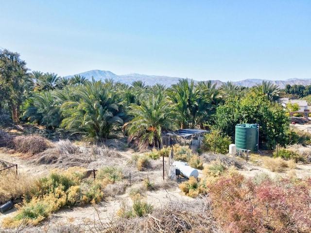 property view of mountains