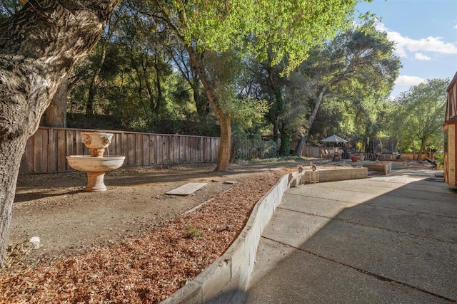 view of yard with a trampoline and a patio area