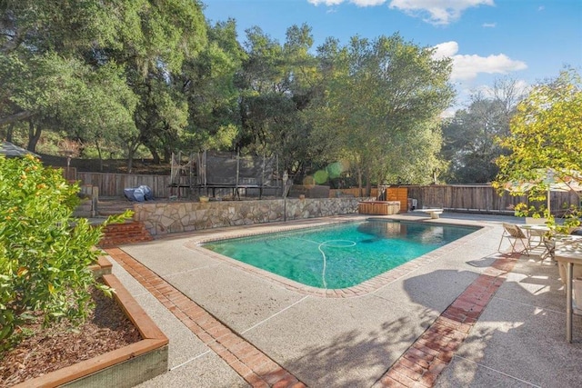 view of pool with a trampoline, a patio area, and a diving board