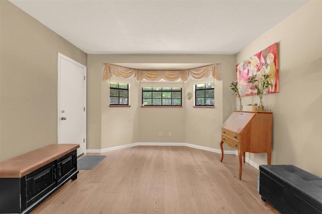 interior space featuring plenty of natural light and light hardwood / wood-style floors